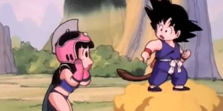 Dragon Ball 10 Things About ChiChi That Make No Sense Dragon Ball 10 Things About ChiChi That Make No Sense